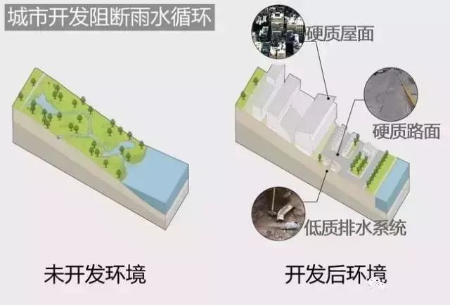 海绵城市怎么做？多图教你看懂市政排水工程海绵化改造插图(8)